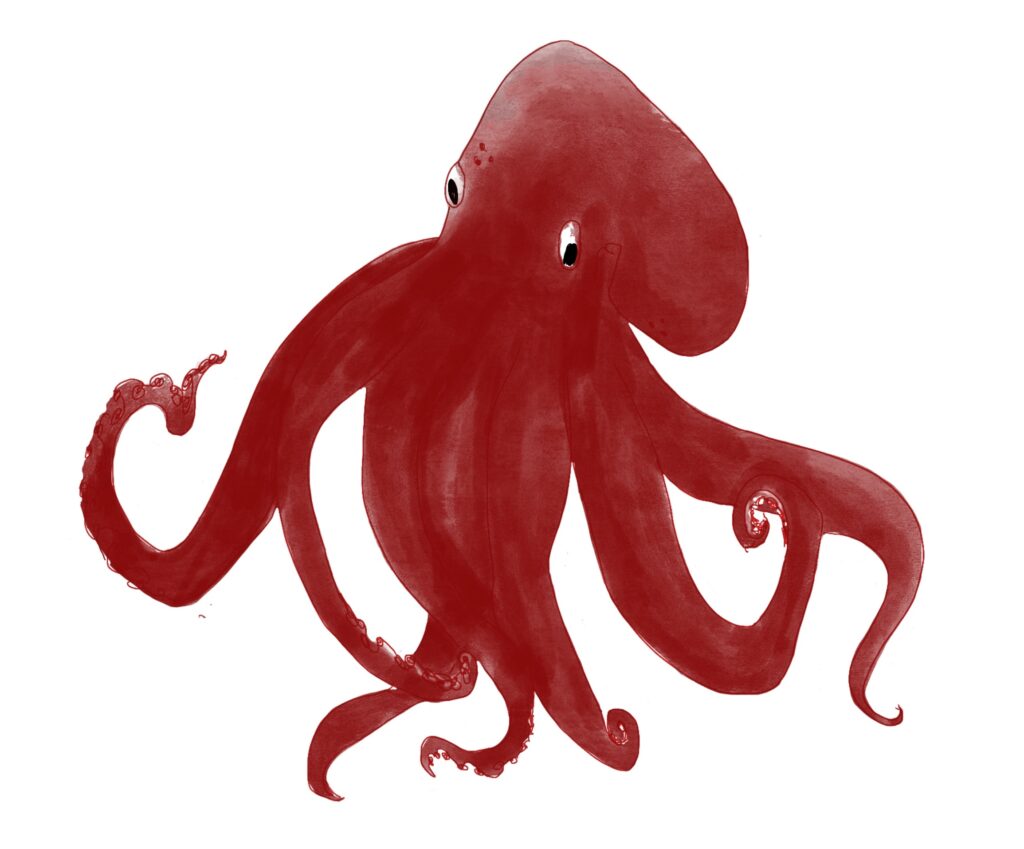 pulpo cropped